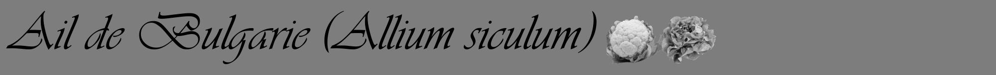 Étiquette de : Allium siculum - format a - style noire35viv avec comestibilité simplifiée