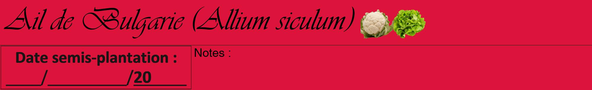 Étiquette de : Allium siculum - format a - style noire36viv avec comestibilité simplifiée