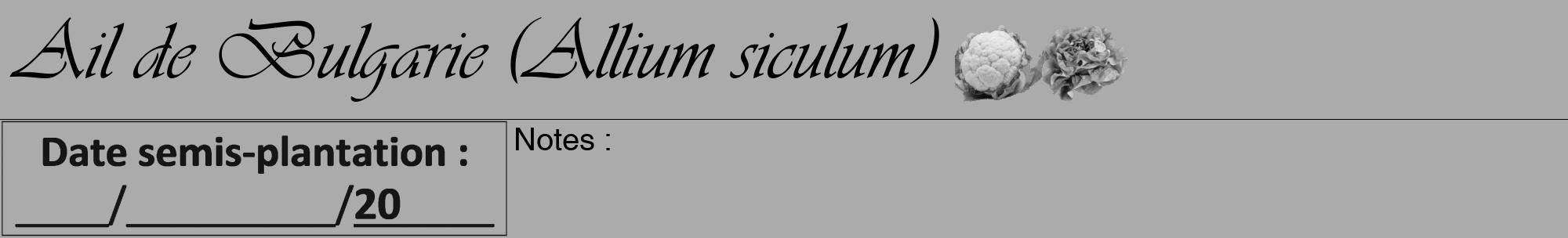 Étiquette de : Allium siculum - format a - style noire37viv avec comestibilité simplifiée