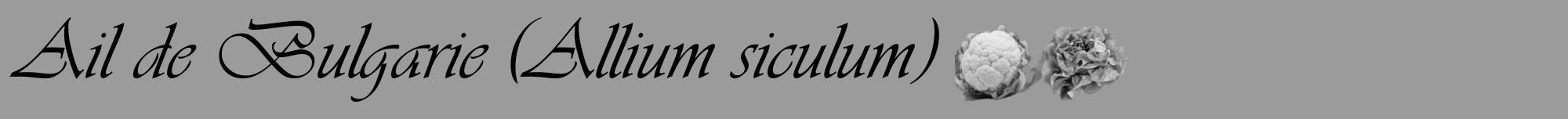 Étiquette de : Allium siculum - format a - style noire52viv avec comestibilité simplifiée