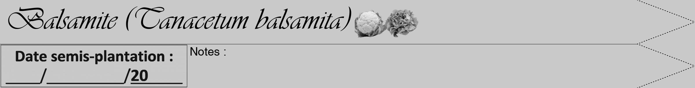 Étiquette de : Tanacetum balsamita - format a - style noire54simpleviv avec comestibilité simplifiée