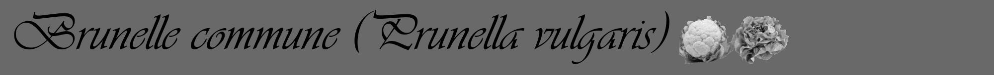 Étiquette de : Prunella vulgaris - format a - style noire11viv avec comestibilité simplifiée