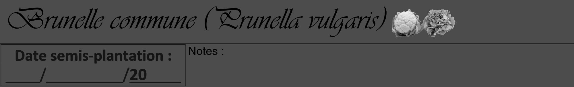 Étiquette de : Prunella vulgaris - format a - style noire27viv avec comestibilité simplifiée