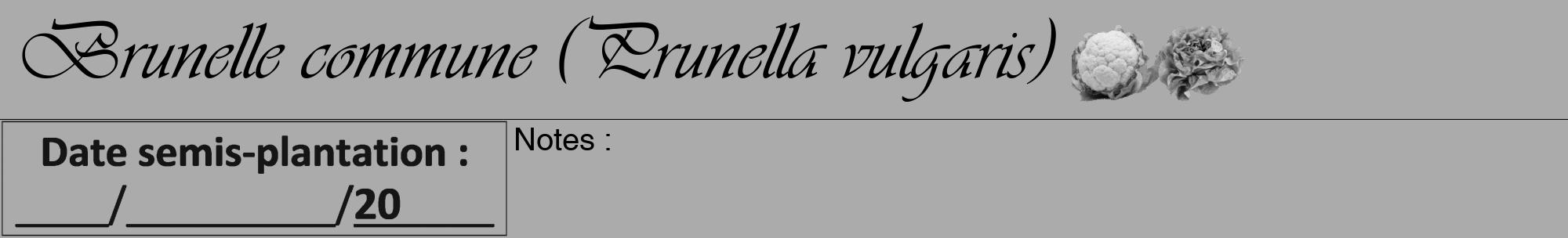 Étiquette de : Prunella vulgaris - format a - style noire37viv avec comestibilité simplifiée