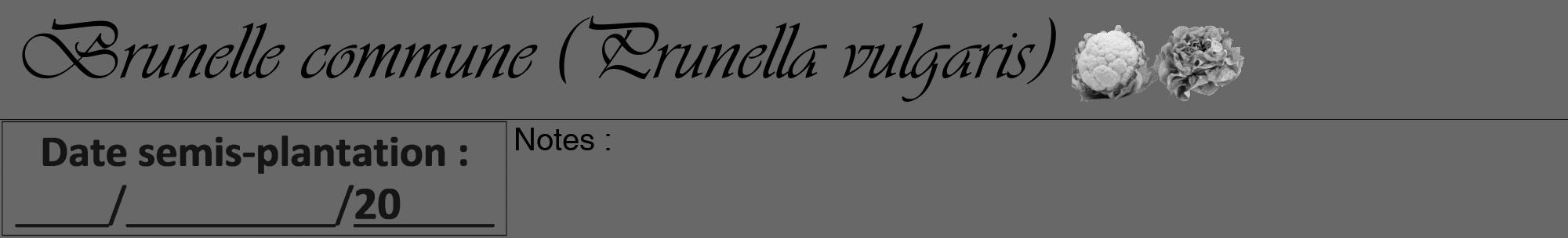 Étiquette de : Prunella vulgaris - format a - style noire43viv avec comestibilité simplifiée