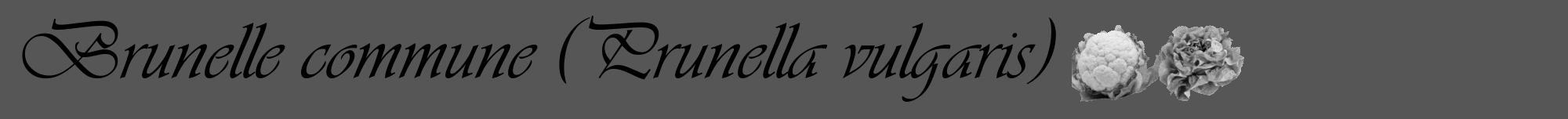 Étiquette de : Prunella vulgaris - format a - style noire45viv avec comestibilité simplifiée
