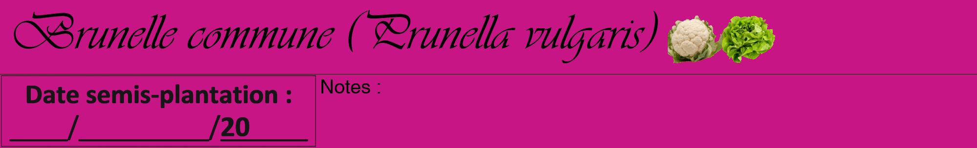 Étiquette de : Prunella vulgaris - format a - style noire45viv avec comestibilité simplifiée