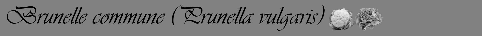 Étiquette de : Prunella vulgaris - format a - style noire50viv avec comestibilité simplifiée