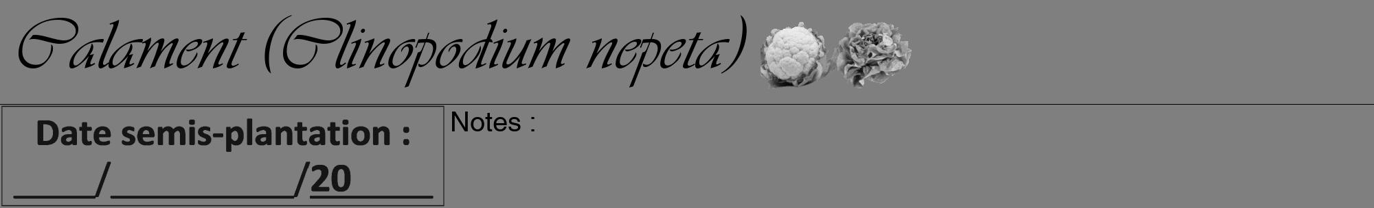 Étiquette de : Clinopodium nepeta - format a - style noire31viv avec comestibilité simplifiée
