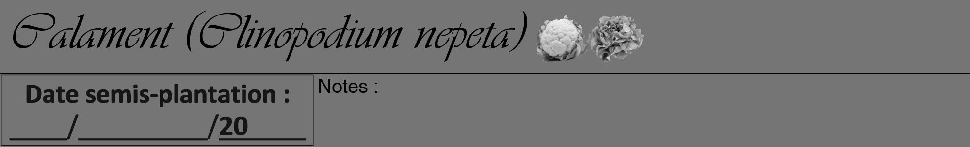 Étiquette de : Clinopodium nepeta - format a - style noire5viv avec comestibilité simplifiée