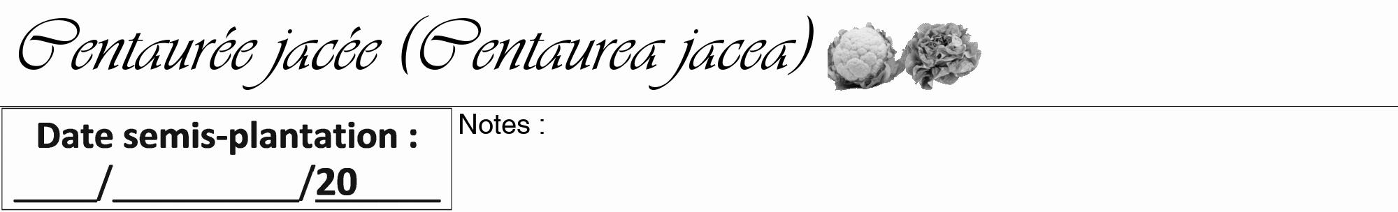 Étiquette de : Centaurea jacea - format a - style noire19viv avec comestibilité simplifiée