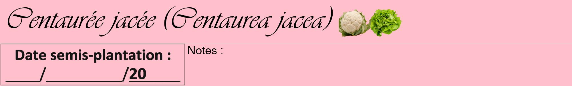 Étiquette de : Centaurea jacea - format a - style noire40viv avec comestibilité simplifiée
