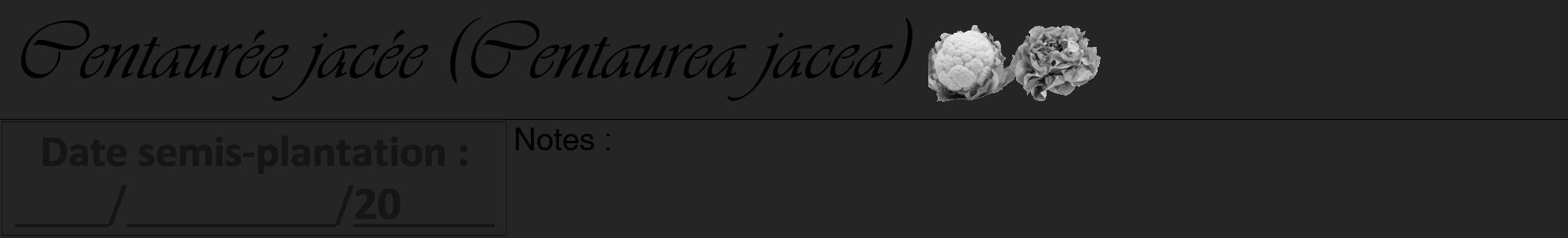 Étiquette de : Centaurea jacea - format a - style noire47viv avec comestibilité simplifiée