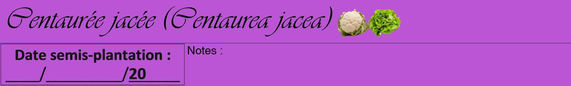 Étiquette de : Centaurea jacea - format a - style noire50viv avec comestibilité simplifiée