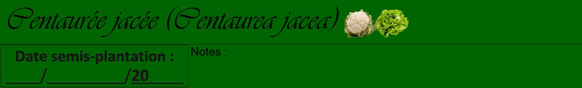 Étiquette de : Centaurea jacea - format a - style noire8viv avec comestibilité simplifiée