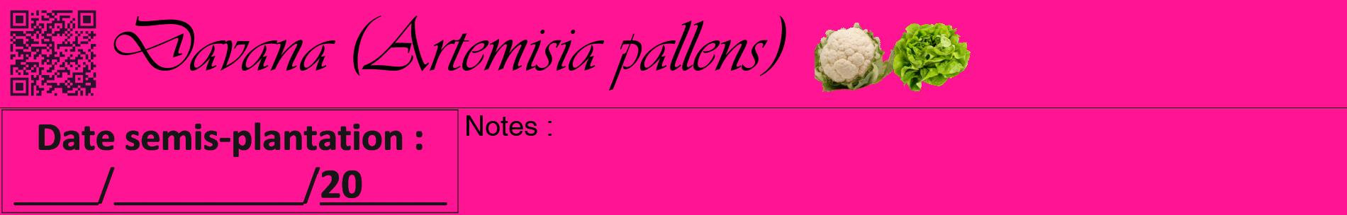 Étiquette de : Artemisia pallens - format a - style noire43basiqueviv avec qrcode et comestibilité simplifiée