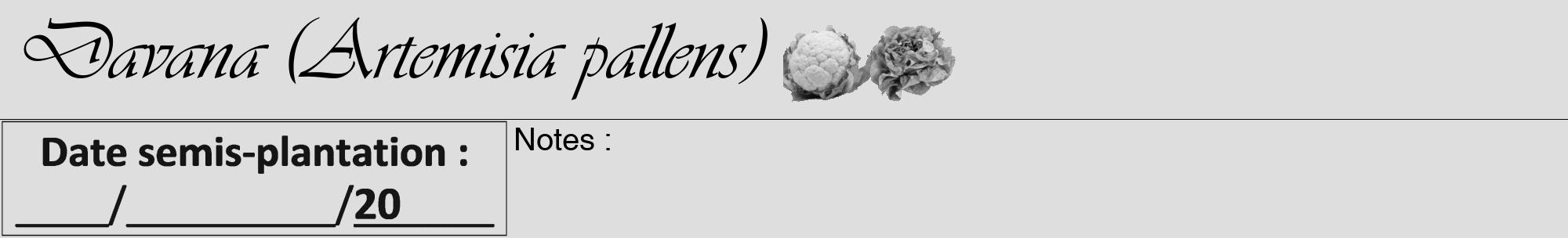 Étiquette de : Artemisia pallens - format a - style noire20viv avec comestibilité simplifiée