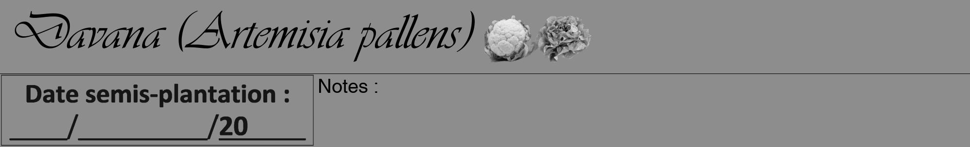 Étiquette de : Artemisia pallens - format a - style noire2viv avec comestibilité simplifiée