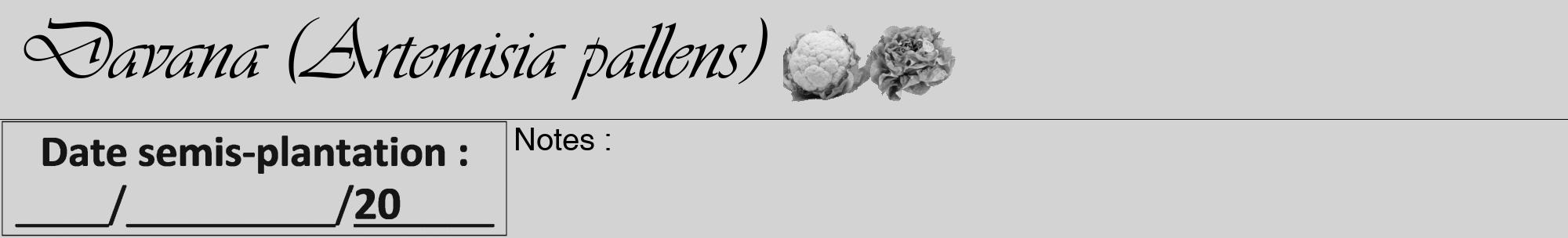 Étiquette de : Artemisia pallens - format a - style noire56viv avec comestibilité simplifiée