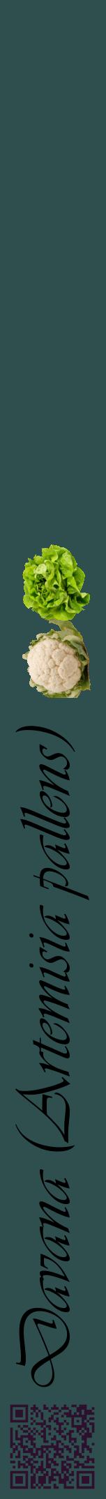 Étiquette de : Artemisia pallens - format a - style noire58viv avec qrcode et comestibilité simplifiée