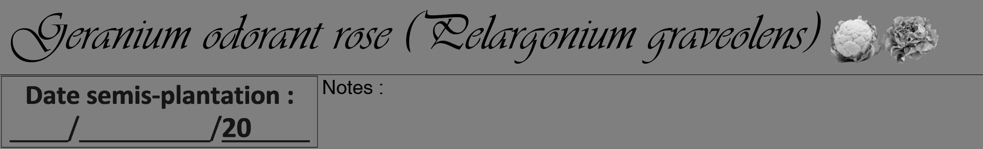 Étiquette de : Pelargonium graveolens - format a - style noire31viv avec comestibilité simplifiée