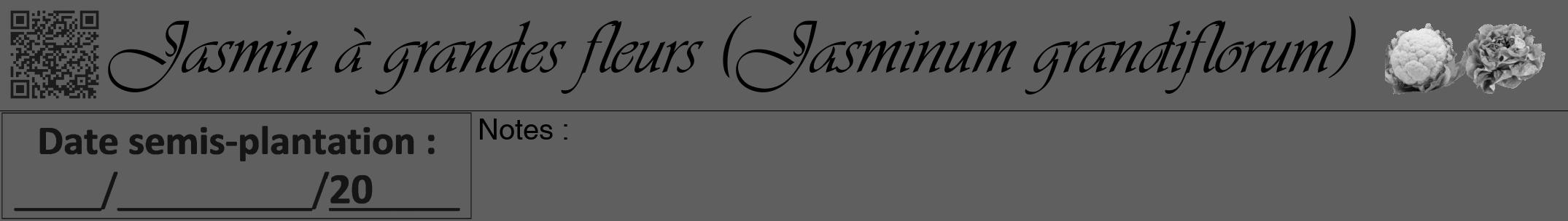 Étiquette de : Jasminum grandiflorum - format a - style noire10viv avec qrcode et comestibilité simplifiée
