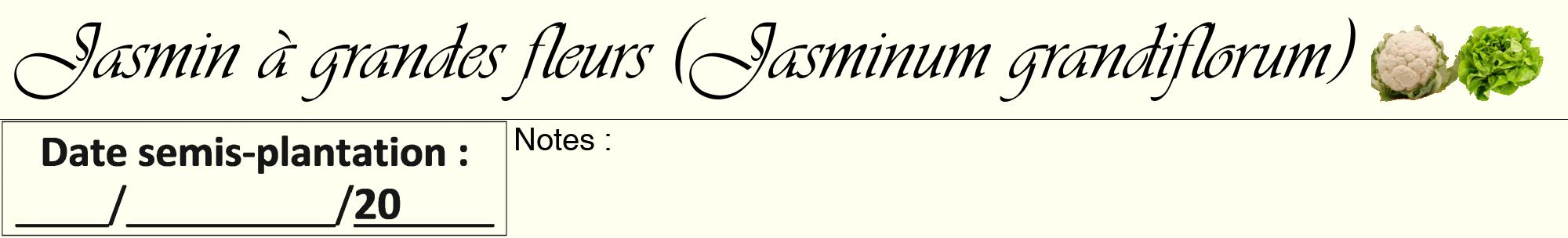 Étiquette de : Jasminum grandiflorum - format a - style noire19viv avec comestibilité simplifiée