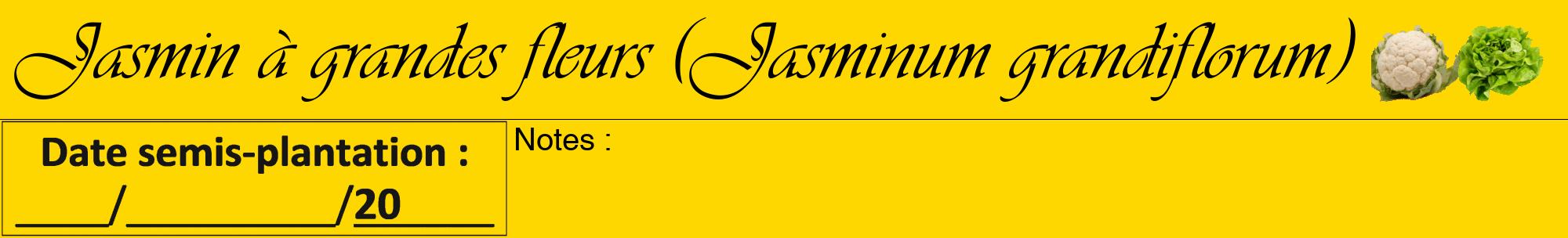 Étiquette de : Jasminum grandiflorum - format a - style noire21viv avec comestibilité simplifiée