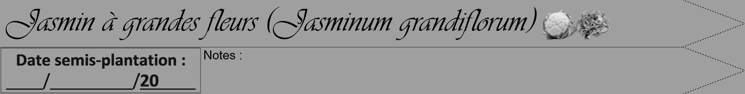 Étiquette de : Jasminum grandiflorum - format a - style noire24simpleviv avec comestibilité simplifiée