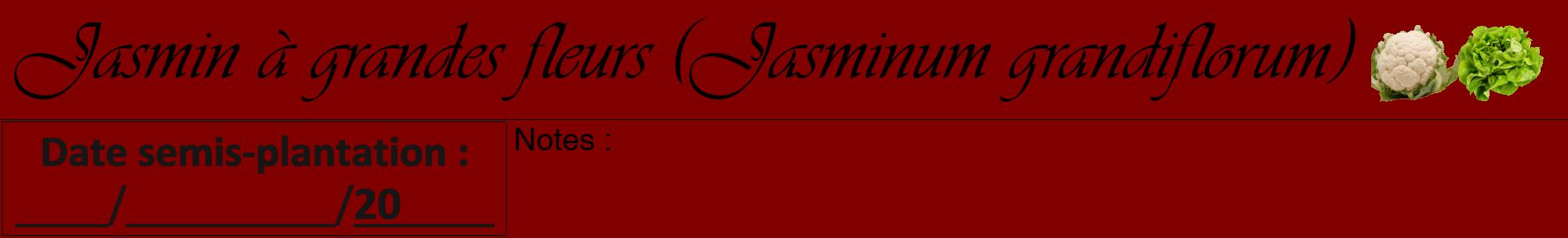 Étiquette de : Jasminum grandiflorum - format a - style noire29viv avec comestibilité simplifiée