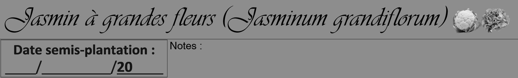 Étiquette de : Jasminum grandiflorum - format a - style noire2viv avec comestibilité simplifiée