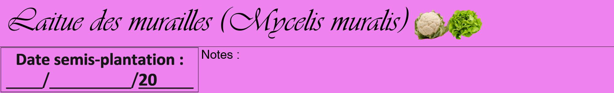 Étiquette de : Mycelis muralis - format a - style noire53viv avec comestibilité simplifiée