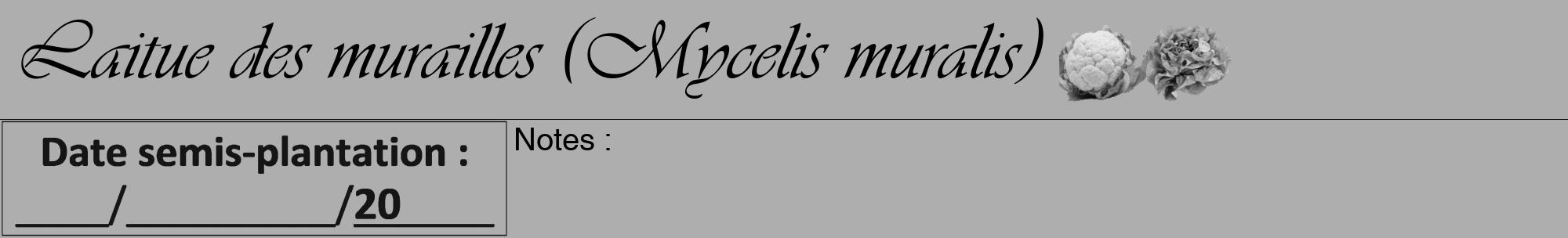 Étiquette de : Mycelis muralis - format a - style noire53viv avec comestibilité simplifiée