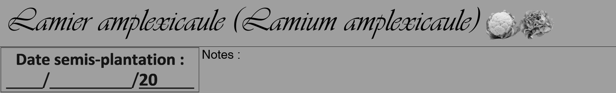 Étiquette de : Lamium amplexicaule - format a - style noire24viv avec comestibilité simplifiée