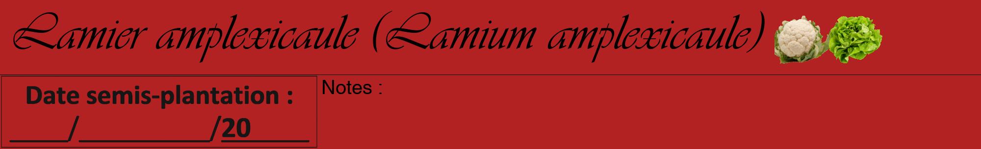 Étiquette de : Lamium amplexicaule - format a - style noire28viv avec comestibilité simplifiée