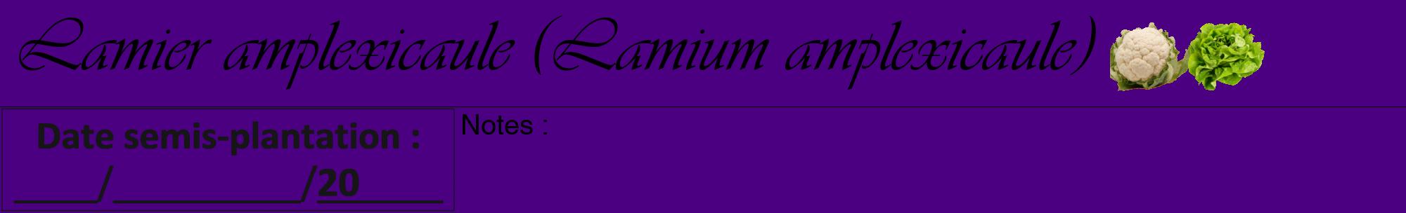 Étiquette de : Lamium amplexicaule - format a - style noire47viv avec comestibilité simplifiée