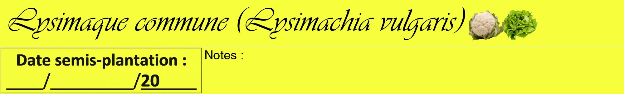 Étiquette de : Lysimachia vulgaris - format a - style noire18viv avec comestibilité simplifiée