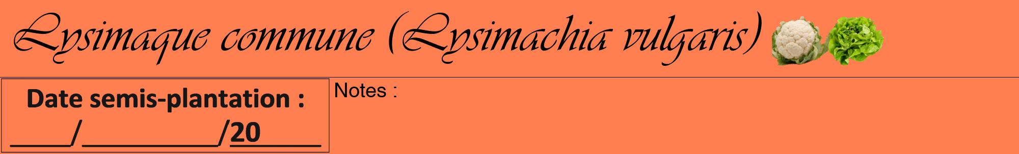 Étiquette de : Lysimachia vulgaris - format a - style noire24viv avec comestibilité simplifiée