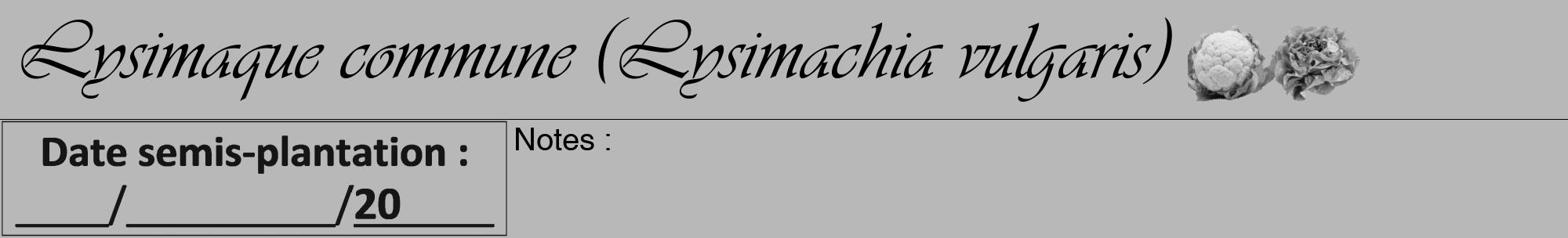 Étiquette de : Lysimachia vulgaris - format a - style noire39viv avec comestibilité simplifiée