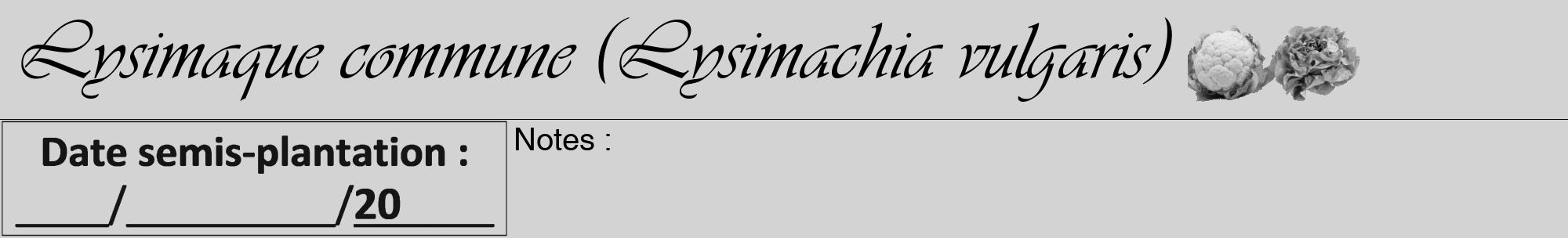 Étiquette de : Lysimachia vulgaris - format a - style noire56viv avec comestibilité simplifiée