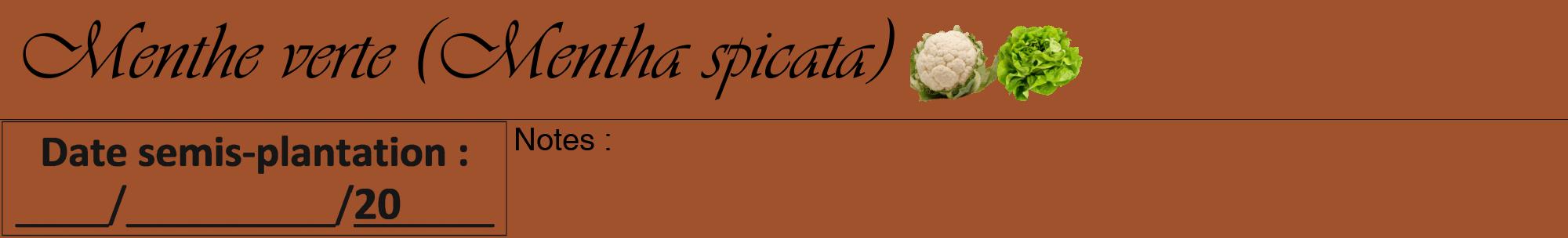 Étiquette de : Mentha spicata - format a - style noire32viv avec comestibilité simplifiée