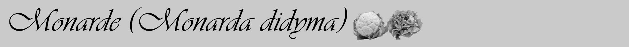 Étiquette de : Monarda didyma - format a - style noire21viv avec comestibilité simplifiée