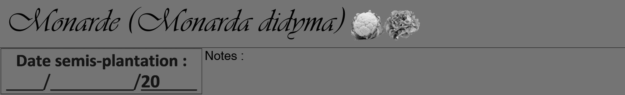 Étiquette de : Monarda didyma - format a - style noire26viv avec comestibilité simplifiée
