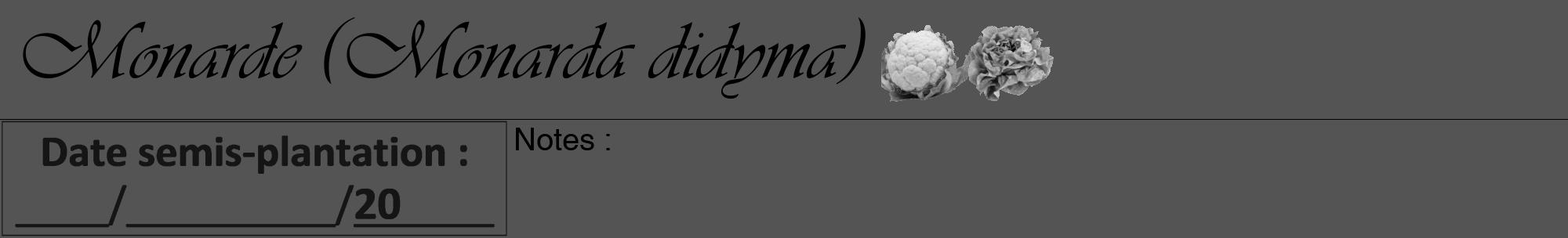 Étiquette de : Monarda didyma - format a - style noire30viv avec comestibilité simplifiée