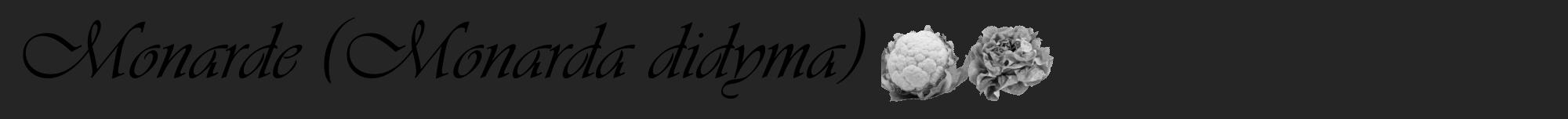 Étiquette de : Monarda didyma - format a - style noire47viv avec comestibilité simplifiée