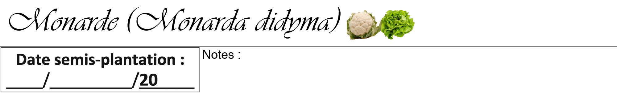 Étiquette de : Monarda didyma - format a - style noire60viv avec comestibilité simplifiée