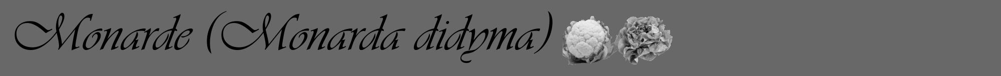 Étiquette de : Monarda didyma - format a - style noire6viv avec comestibilité simplifiée