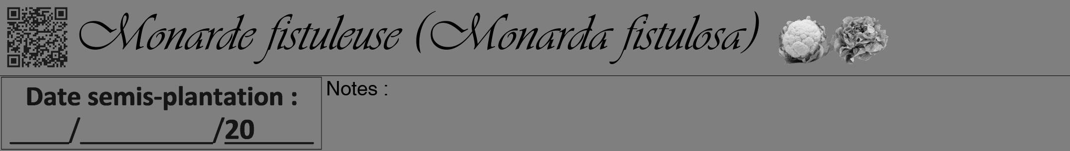 Étiquette de : Monarda fistulosa - format a - style noire31viv avec qrcode et comestibilité simplifiée