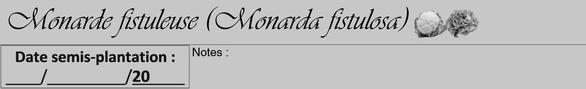 Étiquette de : Monarda fistulosa - format a - style noire15viv avec comestibilité simplifiée