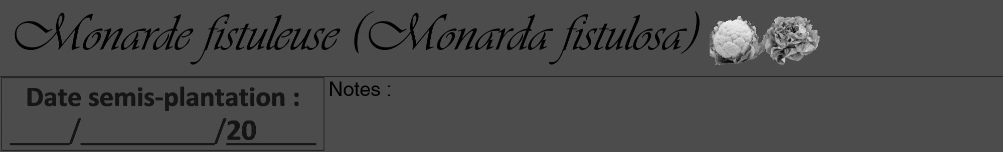 Étiquette de : Monarda fistulosa - format a - style noire27viv avec comestibilité simplifiée